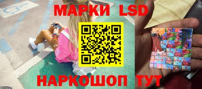 прущие грибы Обнинск
