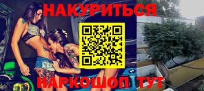 прущие грибы Обнинск
