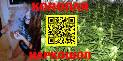прущие грибы Обнинск